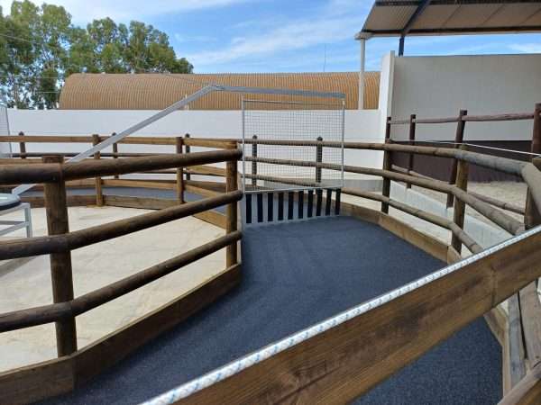 Borracha In-Situ - Image 2
